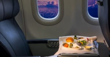 airplane food