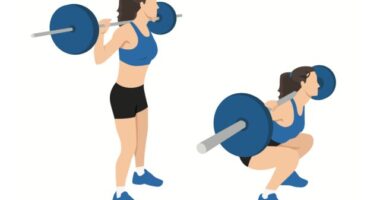 illustration of barbell back squat