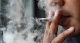 Around 350 young adults start smoking every day - and the habit still causes tens of thousands of cancer cases year, campaigners warn as they urge MPs to phase it out