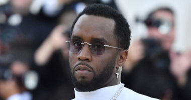 Diddy is ‘renting out his $60m Air Combs private jet & charging $432k for a one-way transatlantic flight’ as trial looms