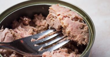 How much tinned fish is too much? Experts reveal exact amount of tuna a week that will harm your brain - amid mercury fears