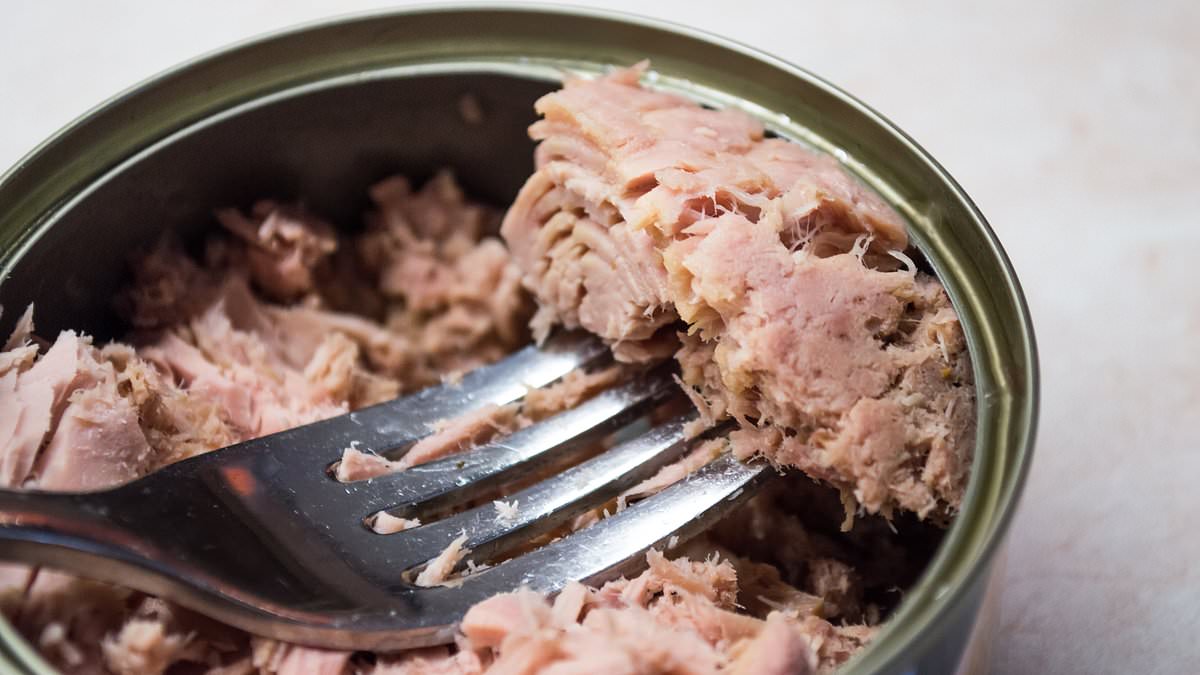 How much tinned fish is too much? Experts reveal exact amount of tuna a week that will harm your brain - amid mercury fears