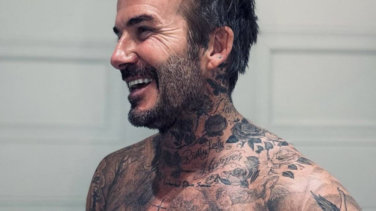 How tattoos could raise the risk of cancer, doctors reveal - as experts warn of the particular colour that may be more harmful