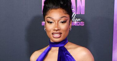 Megan Thee Stallion ‘left suicidal and terrified to perform’ after horrific shooting and endless troll attacks online