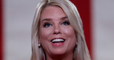 Trump's AG Pick Pam Bondi Can't Escape The Plastic Surgery Rumors