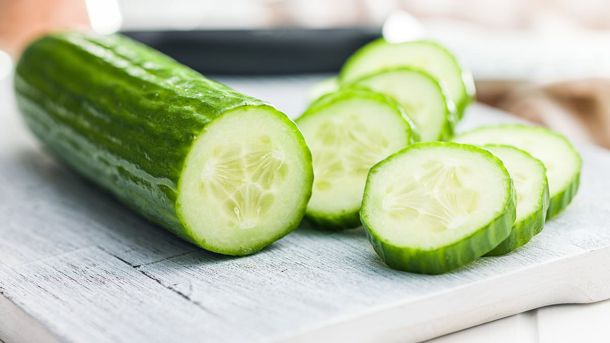 Urgent recall for cucumbers as dozens fall sick with salmonella in 26 states