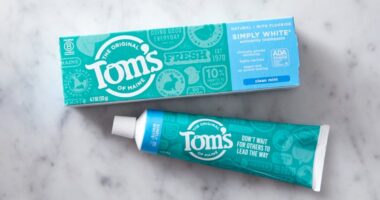 Water used to make Tom's of Maine toothpaste contaminated with bacteria and mold