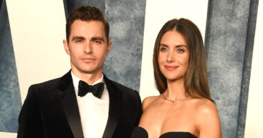 Weird Things About Dave Franco And Alison Brie's Marriage