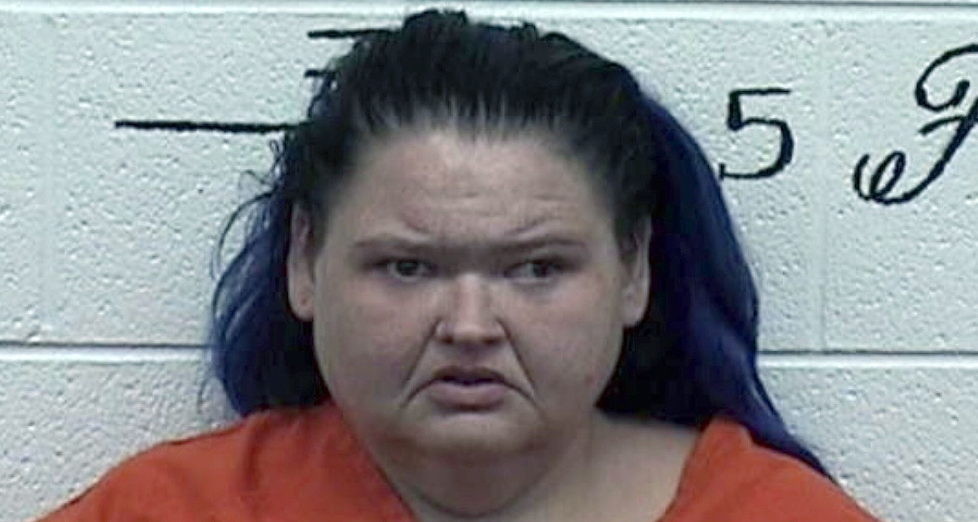 1000-Lb. Sisters star Amy Slaton strikes plea deal & dodges jail time after she’s arrested for ‘having mushrooms at zoo’