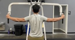 reverse pec deck exercise for boulder shoulders