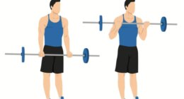 barbell bicep curl exercise