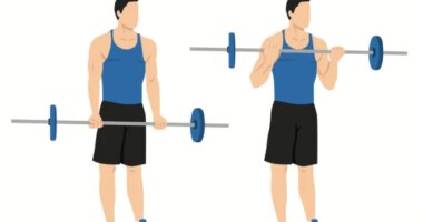 barbell bicep curl exercise