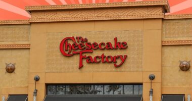 the cheesecake factory exterior set against a designed background