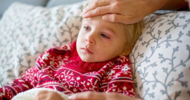 Flu and RSV outbreak cancels Christmas events and closes schools early ahead of the holidays