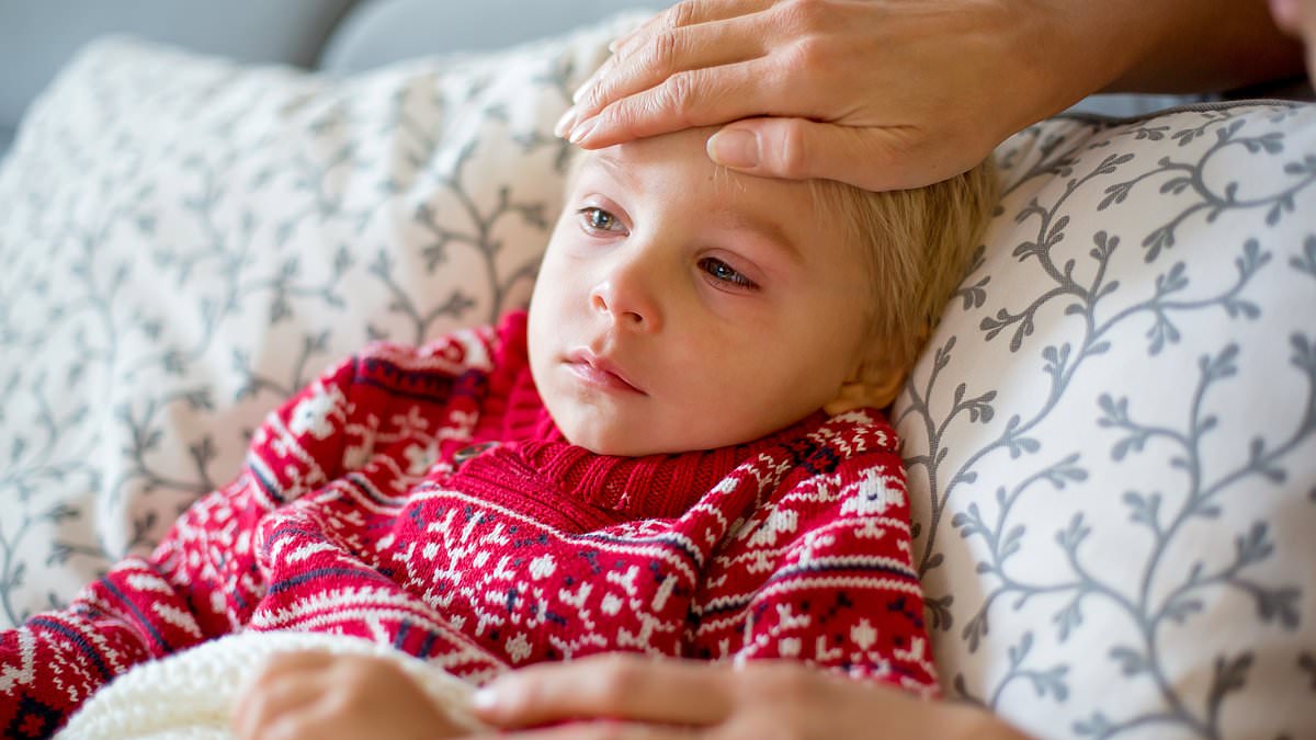 Flu and RSV outbreak cancels Christmas events and closes schools early ahead of the holidays