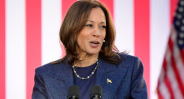 Kamala Harris Outfits That Completely Missed The Mark In 2024