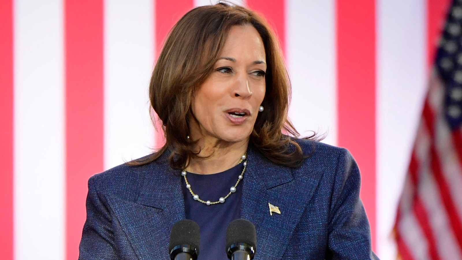 Kamala Harris Outfits That Completely Missed The Mark In 2024