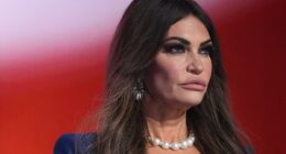 Kimberly Guilfoyle Sports Very Busty Dress As Don Jr. Split Explodes