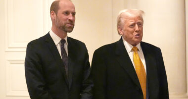 Lip Reader Tells Us Trump And Prince William Seem Friendly (Which Can't Be Good For Harry)