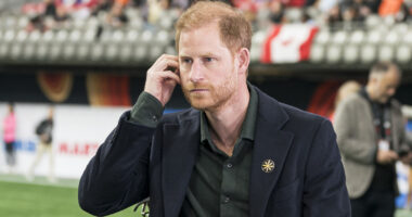 Prince Harry's Tragic Hair Steals The Spotlight In Netflix Polo Documentary