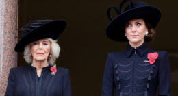 Red Flags In Kate Middleton And Queen Camilla's Relationship