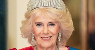 What Happens If Queen Camilla Dies Before King Charles, Explained