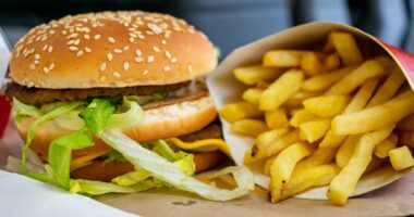 Yet ANOTHER deadly harm of ultra-processed food: Junk raises risk of debilitating bone disease, scientists discover