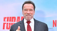 Arnold Schwarzenegger Is Barely Recognizable With Gray Hair