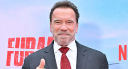 Arnold Schwarzenegger Is Barely Recognizable With Gray Hair