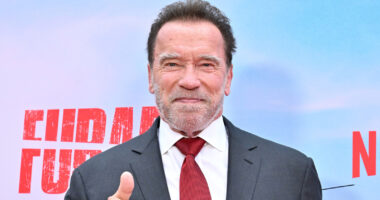 Arnold Schwarzenegger Is Barely Recognizable With Gray Hair