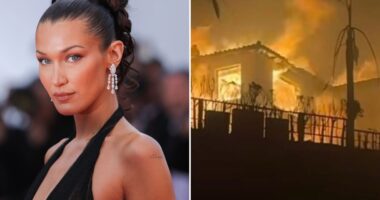 Bella Hadid says she’s ‘devastated’ as she shares photo of family home burning down in the LA fires