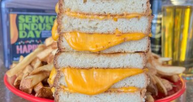 melt bar & grilled grilled cheese sandwich on a plate with fries