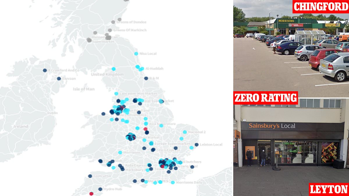 Britain's filthiest supermarkets and corner shops named and shamed: Almost 300 fail hygiene ratings... so is YOURS one of them?