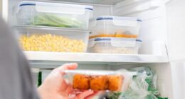 Food policy specialist demonstrates grim reason you shouldn't put warm leftovers in fridge