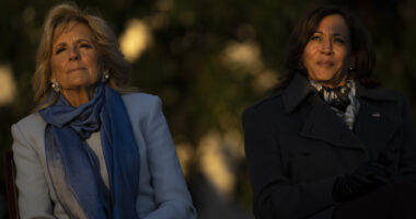 Jill Biden's Beef With Kamala Harris Reportedly Began Years Ago (& We All Missed It)