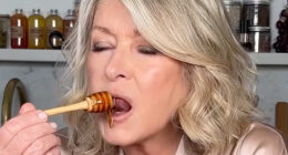 Martha Stewart, 83, sucks on a strawberry and licks honey in thirst trap MAC ad – and fans call it ‘genius and unhinged’