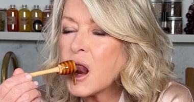 Martha Stewart, 83, sucks on a strawberry and licks honey in thirst trap MAC ad – and fans call it ‘genius and unhinged’