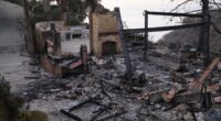 Mel Gibson reveals his LA house burned down while he was on Joe Rogan podcast blasting California governor Gavin Newsom