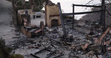 Mel Gibson reveals his LA house burned down while he was on Joe Rogan podcast blasting California governor Gavin Newsom