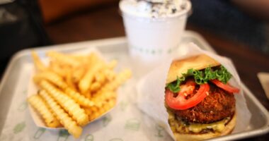 Cheeseburger with French Fries and Milkshake Meal on Tray Fast Food.