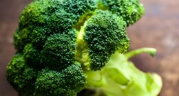 Right Way to Cook Broccoli for Maximum Health Benefits