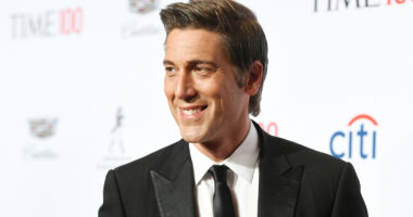 Sad Details That Have Come Out About ABC News' David Muir