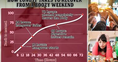 Scientists reveal how long it takes the body to recover from a night of boozing - and what you should NEVER do the morning after