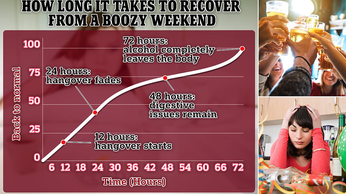 Scientists reveal how long it takes the body to recover from a night of boozing - and what you should NEVER do the morning after