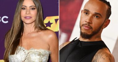 Sofia Vergara, 52, sparks romance rumors with Lewis Hamilton, 40, on flirty dinner date in New York