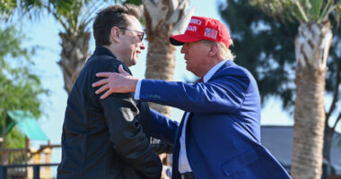 Strange Things About Donald Trump And Elon Musk's Friendship