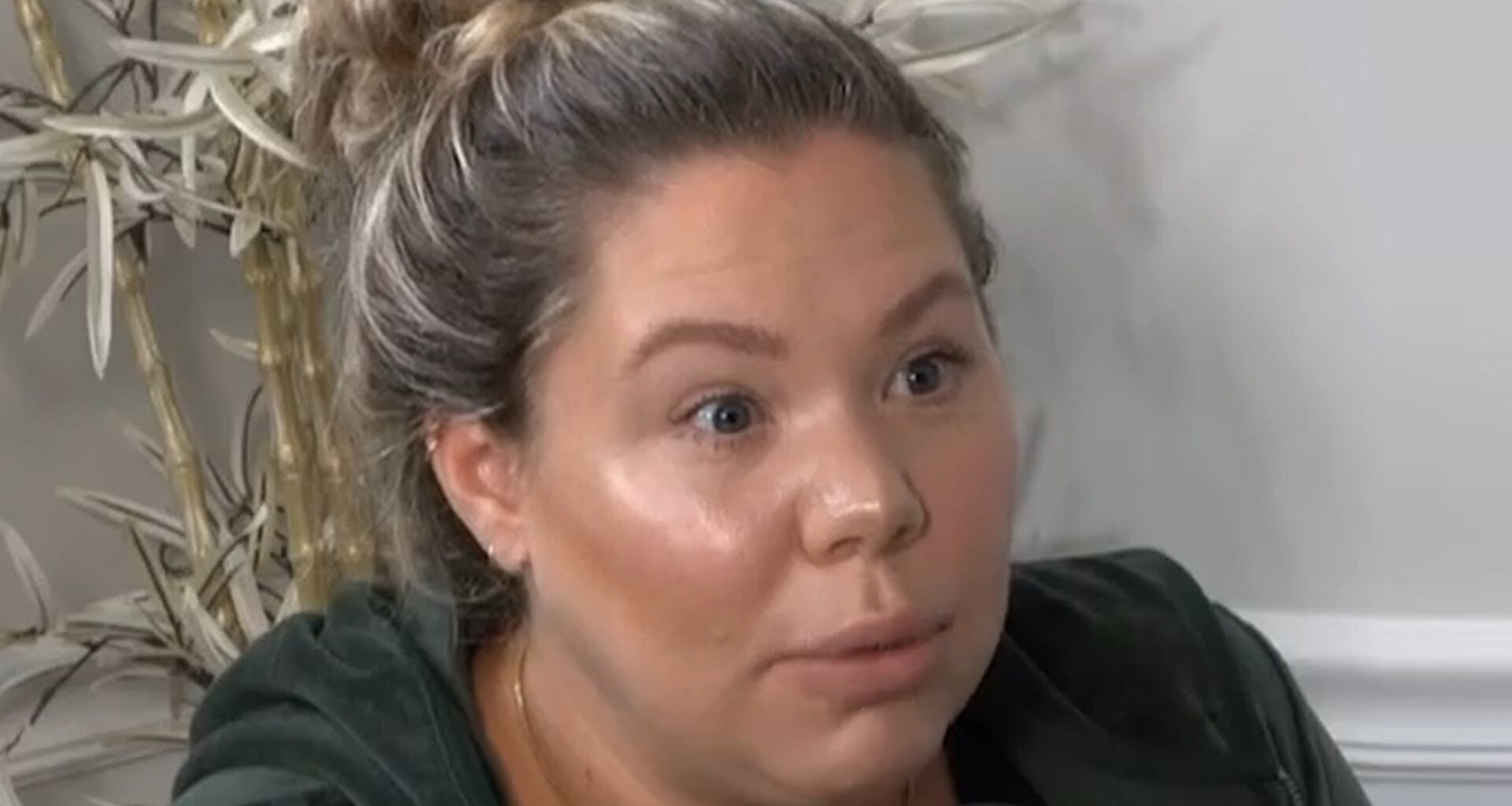 Teen Mom Kailyn Lowry drops $475k on 20 acres of Delaware farmland to build dream mansion but still hasn’t broken ground