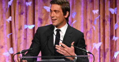 The Inappropriate Outfit ABC News' David Muir Got Called Out For Wearing