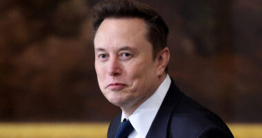 What Does Elon Musk Look Like Without Hair? We Gave Him A Makeover Amid Rampant Rumors