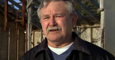 What Happened To The Curse Of Oak Island's Dave Blankenship?